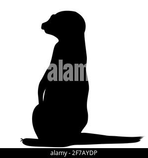 Silhouette Meerkat isolée sur fond blanc Illustration de Vecteur