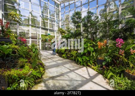 Aménagement intérieur décor de Tan Hoon Siang Mist House au National Orchid Garden, Singapour. Banque D'Images