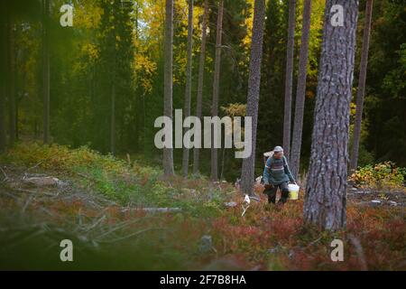 Femme âgée dans la forêt d'automne Banque D'Images