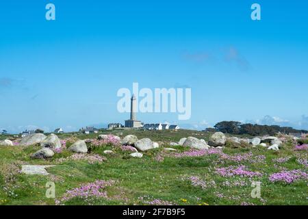 Vue depuis les champs côtiers avec fleurs vers le phare de l'Ile de Batz, France Banque D'Images