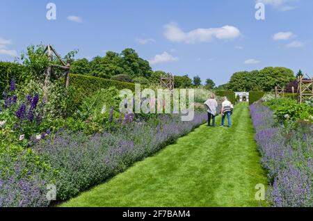 Houghton Hall Gardens en été, Norfolk, Royaume-Uni; deux visiteurs observant les frontières herbacées dans le jardin clos. Banque D'Images