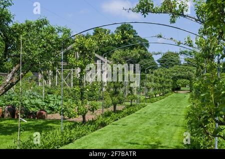 Houghton Hall Gardens en été, Norfolk, Royaume-Uni; The Walled Garden. Banque D'Images