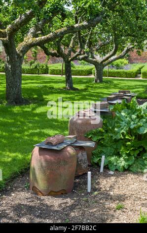 Houghton Hall Gardens en été, Norfolk, Royaume-Uni; les foreurs de rhubarbe dans le jardin clos. Banque D'Images