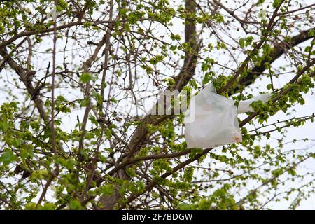 Italie, Lombardie, sac en plastique emmêlé dans une branche d'arbre Banque D'Images