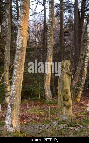 Wooplaw, frontières écossaises, Écosse Royaume-Uni. 6 avril 2021 Wooplaw Community Woodland Woods, Wooplaw, Scottish Borders, Écosse Royaume-Uni. Scotland, UK., weather, image montre une sculpture dans le bourr elme de Tim Stead par l'artiste russe Eduard Bersudsky Tim Stead, un sculpteur en bois et fabricant de meubles qui vivait à proximité dans le village de Blainslie qui voulait essayer de remplacer une partie de l'orme massif, Il avait utilisé des chênes et des cendres dans ses œuvres d'art. Wooplaw est une zone de forêts diverses aux frontières écossaises. Crédit : phil wilkinson/Alay Live News Banque D'Images