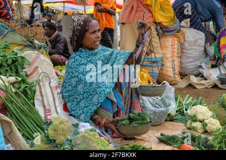 Kunduli, Inde - février 2021: Femme d'Adivasi de la tribu malienne vendant des légumes sur le marché de Kunduli le 19 février 2021 à Odisha, Inde. Banque D'Images