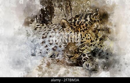 Aquarelle, sauvage, puissant léopard au repos, mammifère sauvage avec peau de tache Banque D'Images