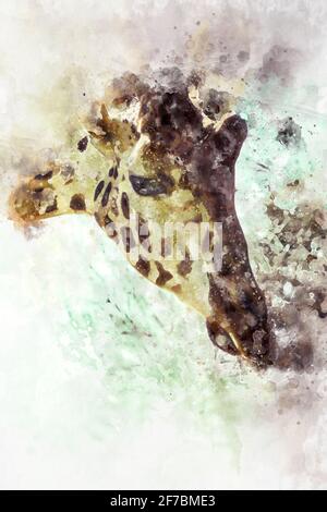 Aquarelle, tête de girafe, scène du zoo Banque D'Images