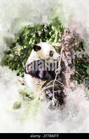 Aquarelle, magnifique reproduction de panda ours jouant dans un arbre Banque D'Images