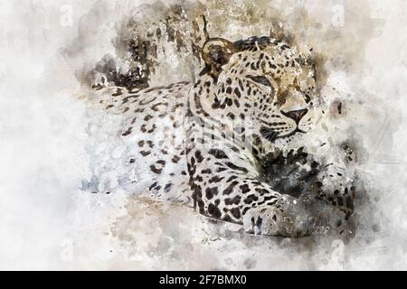 Aquarelle, danger, puissant léopard au repos, mammifère sauvage avec peau de tache Banque D'Images