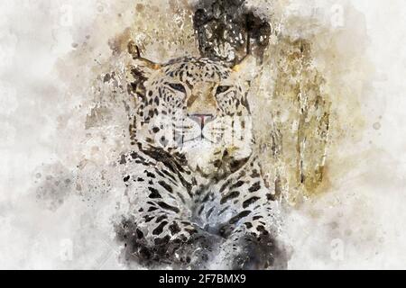 Aquarelle, féline, puissant léopard au repos, mammifère sauvage avec peau de tache Banque D'Images