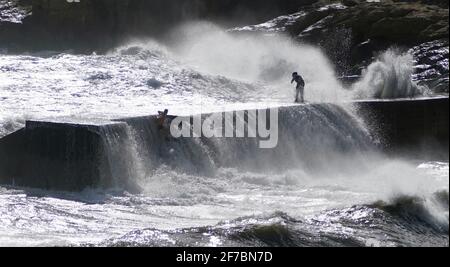 Les gens essaient d'éviter que les vagues ne s'écrasant sur les murs de Cullercoats près de Tynemouth. Date de la photo: Mardi 6 avril 2021. Banque D'Images