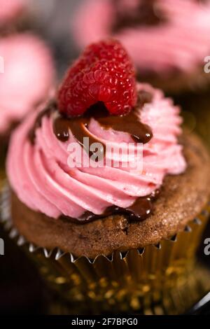 Des cupcakes au chocolat gourmets, arrosés de ganache au chocolat et recouverts d'une framboise fraîche. Banque D'Images