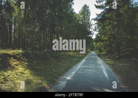 Forêt feuillue et sombre à feuilles caduques et route asphaltée Banque D'Images