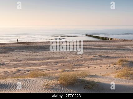 la figure solitaire se balade le long de la plage de la mer du nord en néerlandais Province de Zélande sous ciel bleu au printemps Banque D'Images