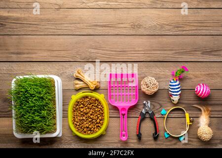 Séchez les aliments dans un bol, une spatule, des ciseaux à ongles, de l'herbe, un collier, Boules, os sur fond de bois vue du dessus plat Lay Toys, accessoires et nourriture pour votre belov Banque D'Images