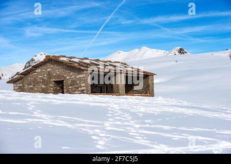 Hangar de vache en pierre sur le plateau de Lessinia. Parc naturel régional, en hiver avec de la neige. Pic de Monte Carega. Vénétie, Trentin-Haut-Adige, Italie, Europe. Banque D'Images