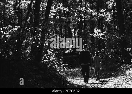 Père et fils marchant dans la forêt d'automne dans la campagne française. Vue arrière. Concept de style de vie naturel. Vacances en famille. Paternité. Noir blanc Banque D'Images