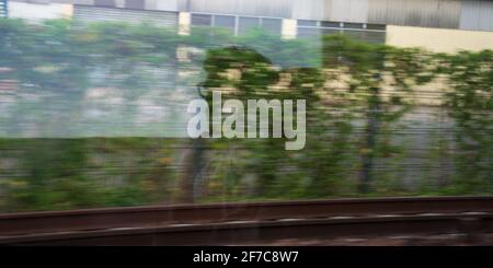 Silhouette de jeune homme passager méconnaissable reflétée dans la fenêtre du train avec paysage vert passant. Transport écologique, environnement Banque D'Images