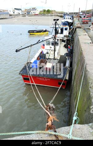 Pêche côtière depuis le port de Lougshinny, Irlande Banque D'Images