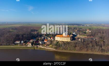 aconite d'hiver, fleur jaune tôt au printemps Banque D'Images