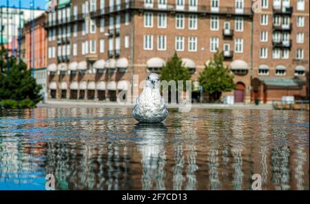 Fontaine dans la ville suédoise de Malmo où repose un pigeon sur l'eau. Banque D'Images