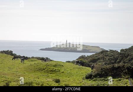 Little Ross Island et phare vus de Torrs point à L'embouchure de Kirkcudbright Bay Kirkcudbright Dumfries et Galloway Scotland Banque D'Images