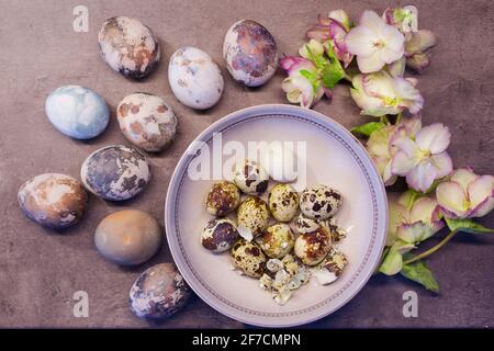 Oeufs de Pâques naturellement colorés avec la peau d'oignon et peint à la main avec fleurs fraîches sur fond de béton Banque D'Images