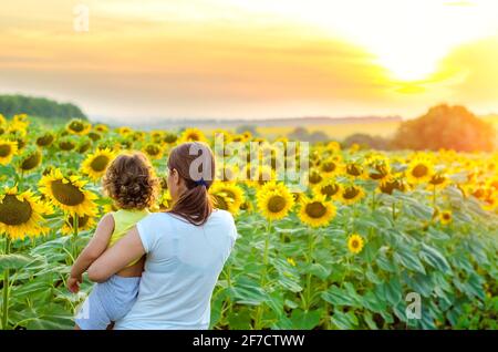 mère et enfant dans le champ des tournesols Banque D'Images