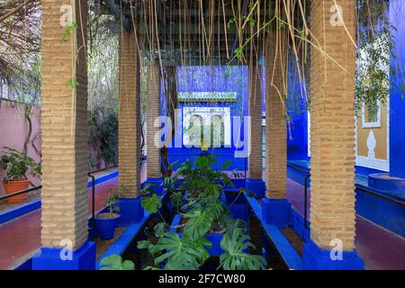 Bassin d'eau couvert avec plantes et colonnes sur les côtés dans le célèbre jardin botanique jardin Majorelle à Marrakech, Maroc Banque D'Images