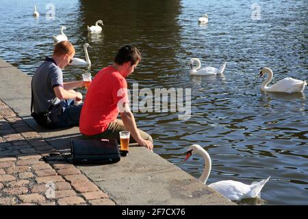 Vous pourrez vous asseoir avec une bière sur les rives de la Vltava et admirer les cygnes nageant. Banque D'Images