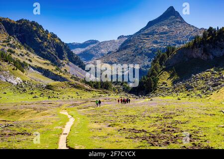 Vue sur l'une des belles prairies qui se croisent pour atteindre la cascade d'Aigualluds. Benasque, Aragon, Espagne Banque D'Images