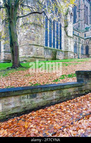 Une journée humide de novembre à la cathédrale de Durham, comté de Durham, Royaume-Uni Banque D'Images