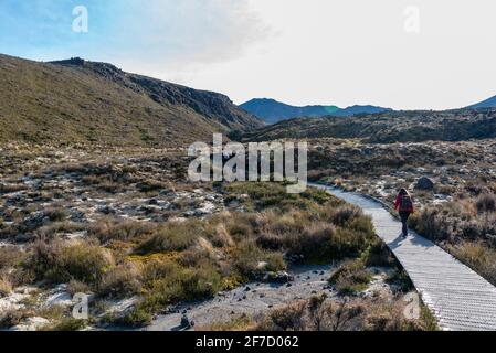 Randonnée pédestre dans le Tongariro Alpine Crossing à travers la vallée de Mangatepopo, parc national de Tongariro en Nouvelle-Zélande Banque D'Images