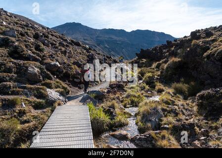 Randonnée pédestre dans le Tongariro Alpine Crossing, circuit nord du parc national de Tongariro en Nouvelle-Zélande Banque D'Images