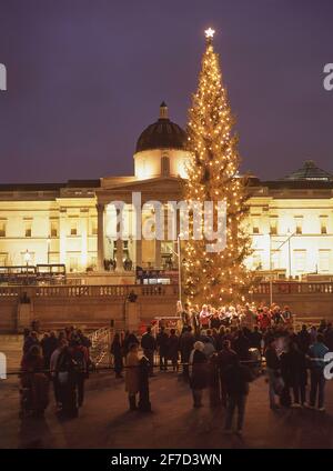 Arbre de Noël Trafalgar Square devant la National Gallery, Trafalgar Square, Cité de Westminster, Grand Londres, Angleterre, Royaume-Uni Banque D'Images