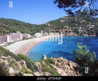 Vue sur la plage, Cala San Vincente, Ibiza, Iles Baléares, Espagne Banque D'Images