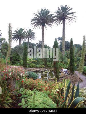 Jardins de l'abbaye de Tresco, Tresco, Îles Scilly, Cornwall, Angleterre, Royaume-Uni Banque D'Images