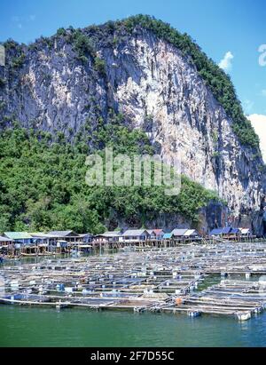 Village de pêcheurs sur pilotis sur la mer, Ko Panyi, Phang Nga Bay Marine National Park, province de Phang Nga, Thaïlande Banque D'Images