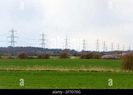 Pylônes d'électricité dans un champ, romney Marsh, kent, royaume-uni Banque D'Images