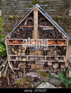 Une maison d'insectes construite pour fournir des maisons pour les insectes et les mini-bêtes. Banque D'Images