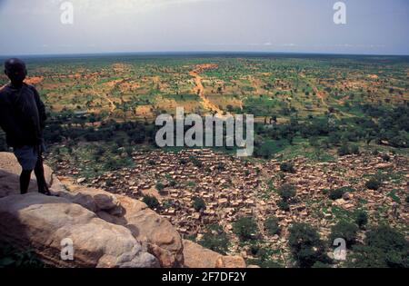 Berger avec un bétail de chèvre qui va vers l'escarpement de Bandiagara, Tielli, dans le cercle de Bandiagara, pays Dogon, Mali Banque D'Images