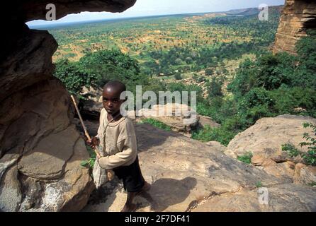 Berger avec un bétail de chèvre qui va vers l'escarpement de Bandiagara, Tielli, dans le cercle de Bandiagara, pays Dogon, Mali Banque D'Images