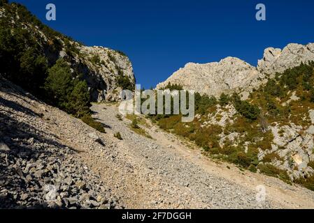 Pedraforca crie vue du fond de la montagne (Berguedà, Catalogne, Espagne, Pyrénées) ESP: Tartera del Pedraforca (pedriza) vista desde abajo Banque D'Images