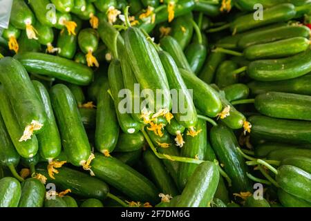 Légumes frais à vendre sur le marché turc à Antalya, Turquie Banque D'Images