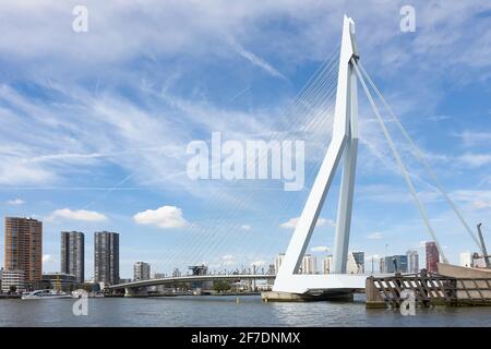Vue sur le pont blanc Erasmus également appelé de Zwaan sur de Nieuwe Maas à Rotterdam sous un ciel bleu avec des nuages blancs. Banque D'Images