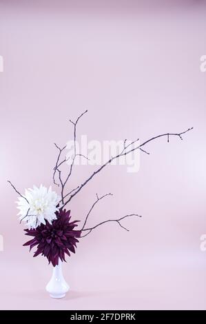 Image georgines fleurs décoration ikebana avec la branche de l'arbre sur un fond violet clair. Image cartes de vœux adaptées, Saint-Valentin, anniversaire Banque D'Images