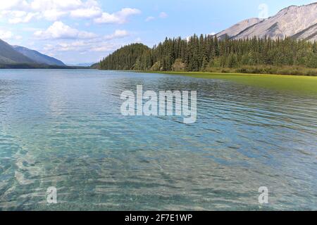 Un lac de montagne bleu clair avec des arbres sur la rive Banque D'Images