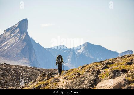 Randonneur solitaire sur le sentier au-dessous du mont Thor, île de Baffin. Banque D'Images