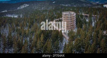 Vue aérienne d'une tour et d'une passerelle à couvert forestier, également sentier au-dessus des arbres sur Rogla par une froide journée d'hiver. Magnifique paysage sur Rogla Banque D'Images